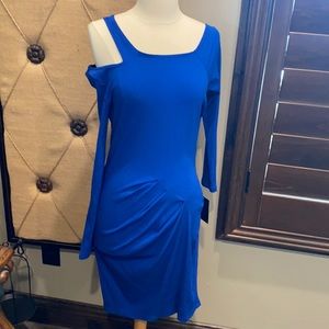 Boston Proper Ribbed Form Fitting Colbalt Blue Strappy Dress